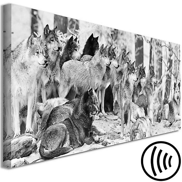 Wandbild Wolf Pack (1 Part) Narrow XXL günstig online kaufen