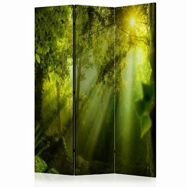 artgeist Paravent In a Secret Forest II [Room Dividers] grün-kombi Gr. 135 günstig online kaufen