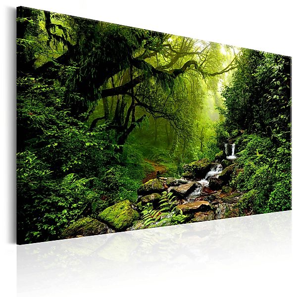 Wandbild - Waterfall in the Forest günstig online kaufen