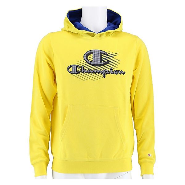 Champion Kapuzenpullover (Hoodie) Graphic Shop Logo günstig online kaufen