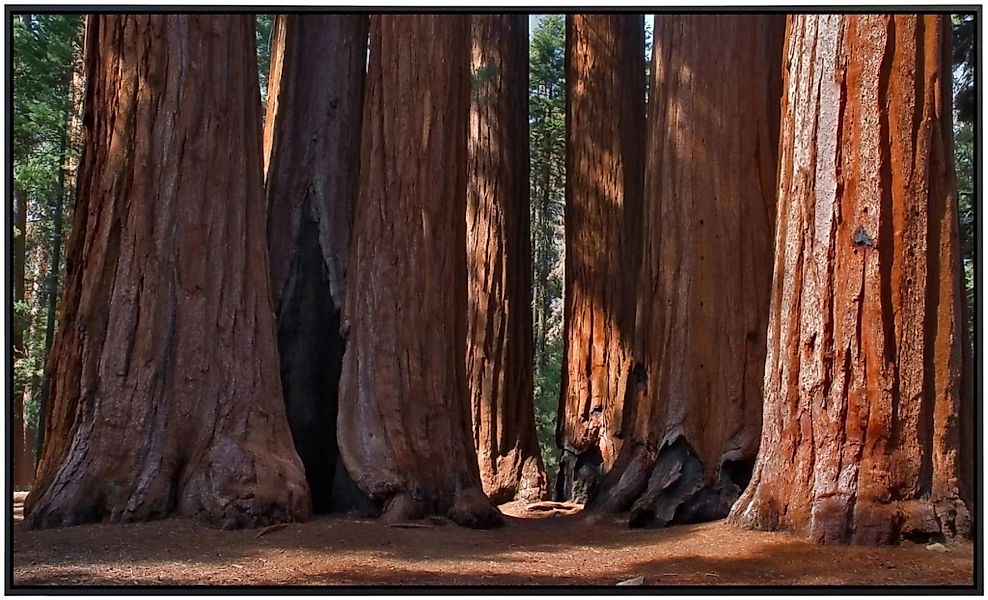 Papermoon Infrarotheizung »Große Bäume«, sehr angenehme Strahlungswärme günstig online kaufen