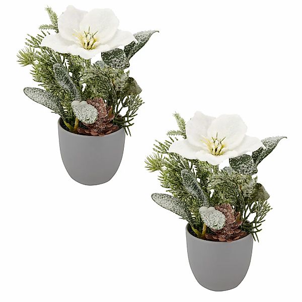 Creativ green Winterliche Kunstpflanze "Arrangement mit Christrose" mit üpp günstig online kaufen