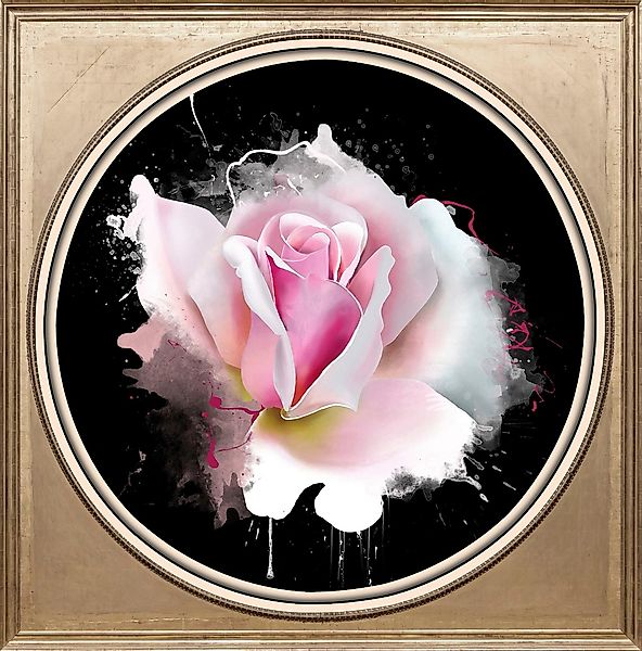 queence Acrylglasbild "Rosa Rose", Blumen-Blumenbilder-Kunst-Pflanzen-Pflan günstig online kaufen