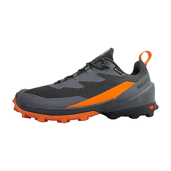 Salomon Wanderschuh Outdoorschuh günstig online kaufen