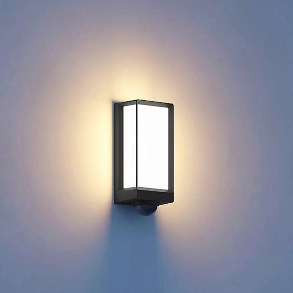 steinel LED Außen-Wandleuchte L 42, mit günstig online kaufen