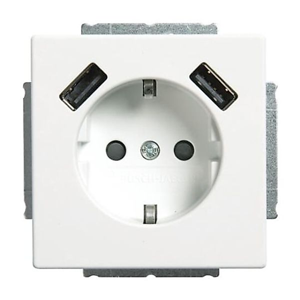 Busch-Jaeger SCHUKO-2x USB Steckdose 20 EUCB2USB-884 - 2CKA002011A6277 günstig online kaufen