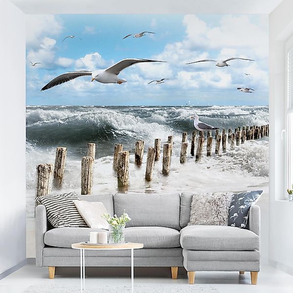 Bilderdepot24 Fototapete Strand & Meer Absolut günstig online kaufen