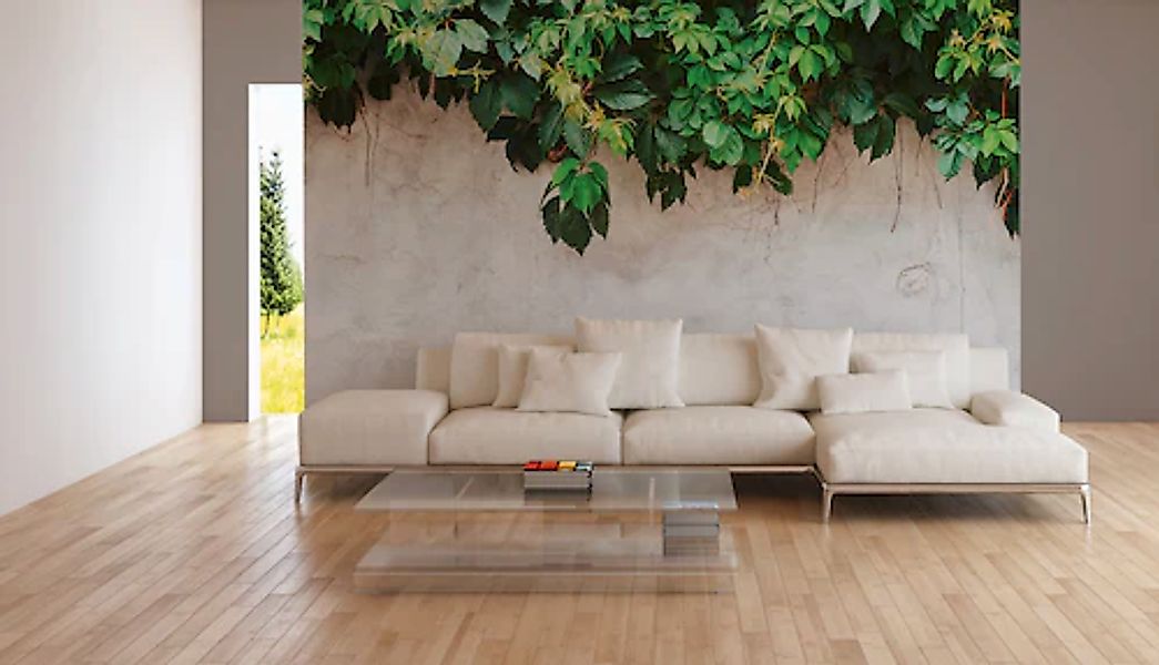 A.S. Création Vliestapete »Fototapete Efeu auf Putzoptik Weiß Grün« matt st günstig online kaufen