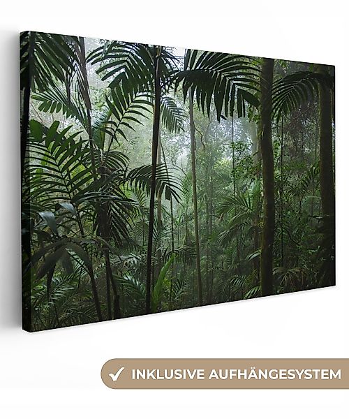 OneMillionCanvasses® Leinwandbild Regenwald - Tropisch - günstig online kaufen