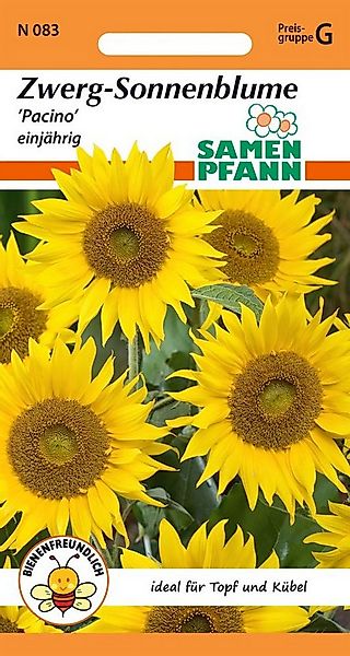 SAMEN PFANN Blumensamen Sonnenblume, Zwergsonnenblume, Pacino - Saatgut Son günstig online kaufen