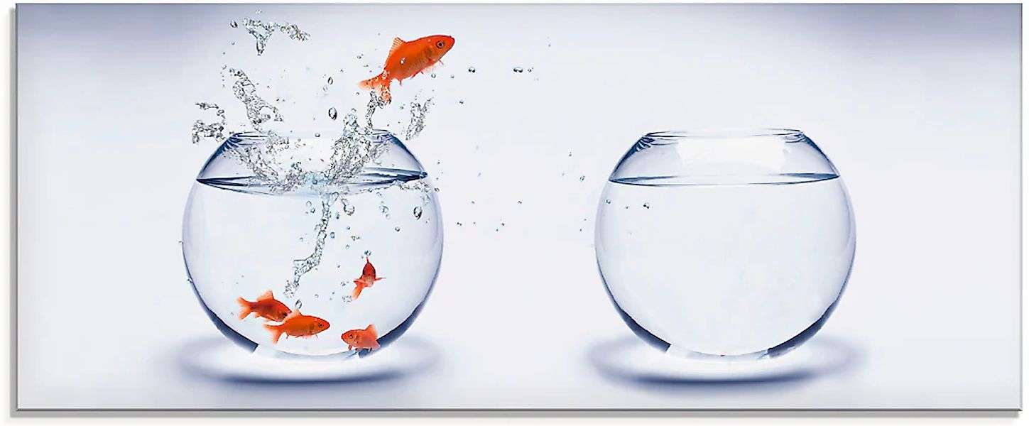 Artland Glasbild "Goldfischaquarium" Wassertiere 1 Stk. tlg. in verschieden günstig online kaufen
