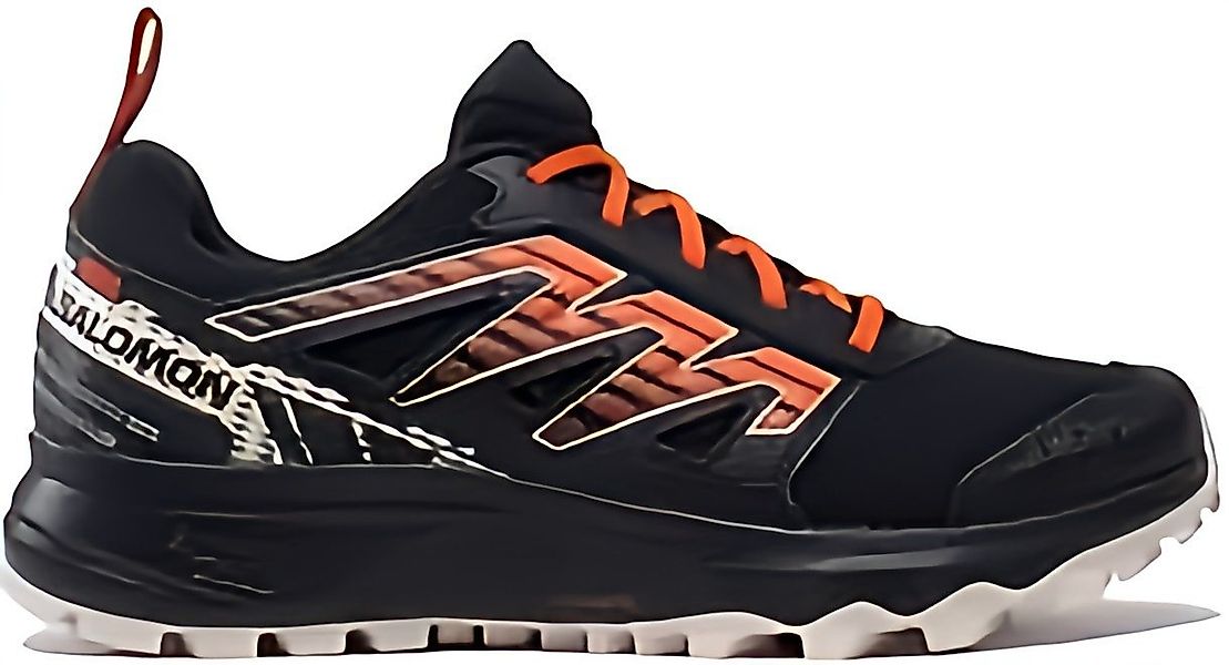Salomon WANDER für Herren Outdoorschuh günstig online kaufen
