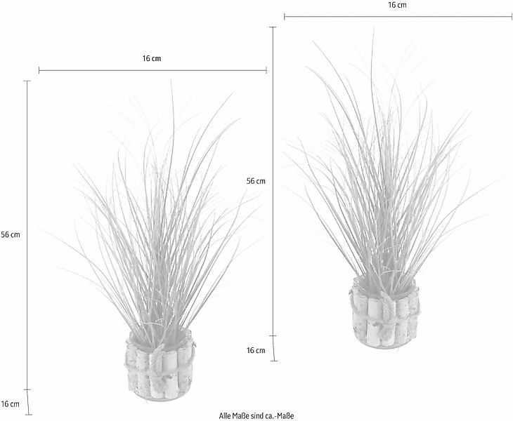 Kunstpflanze Gras, I.GE.A., Höhe 56 cm günstig online kaufen