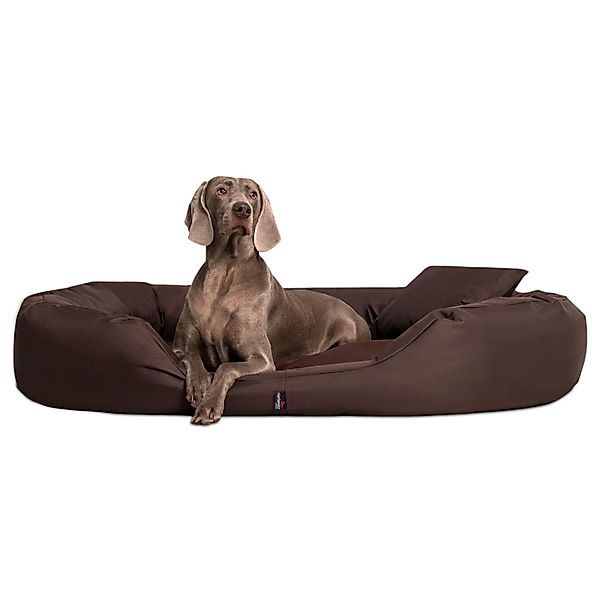 tierlando® Tierbett Orthopädisches Hundebett SAMMY, Robuster günstig online kaufen