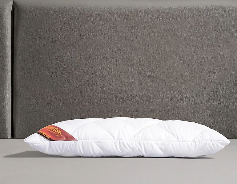 Schlaf-Gut Microfaserkissen Proneem m. MF-Bezug, Wirksam günstig online kaufen