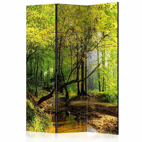 3-teiliges Paravent - Forest Clearing [room Dividers] günstig online kaufen