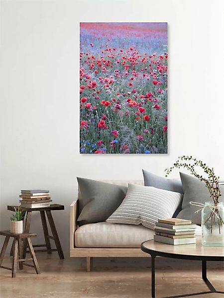 Poster / Leinwandbild - Poppy Seed Heaven günstig online kaufen