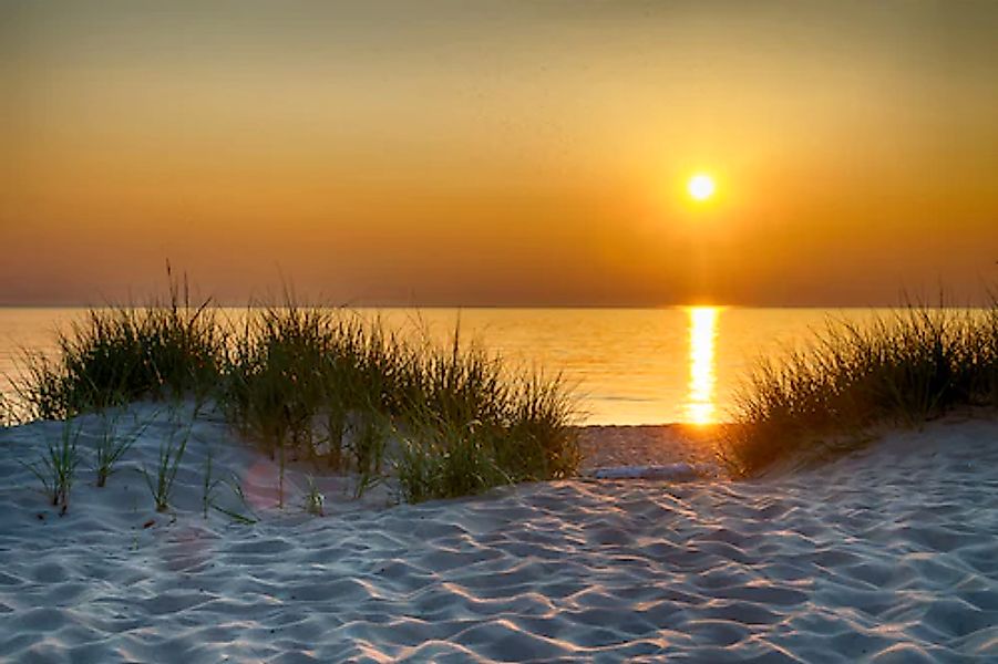 Papermoon Fototapete »Dunes Lake Michigan« glatt günstig online kaufen