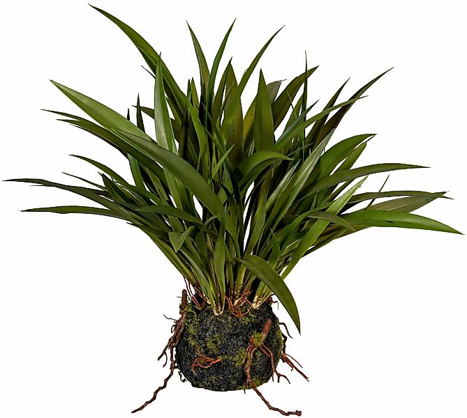 Kunstgras Grasbusch Miscanthus im Moosballen Gras, günstig online kaufen