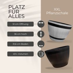 matches21 HOME & HOBBY Blumentopf Große günstig online kaufen