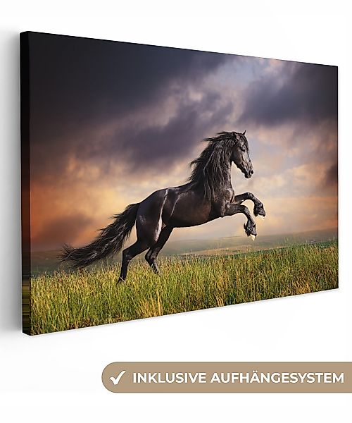 OneMillionCanvasses® Leinwandbild Pferd - Luft - günstig online kaufen