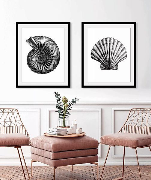 queence Bild "Justus", Meer-Meer Bilder-Kunst-Wassertiere, (1 St.), HD Prem günstig online kaufen