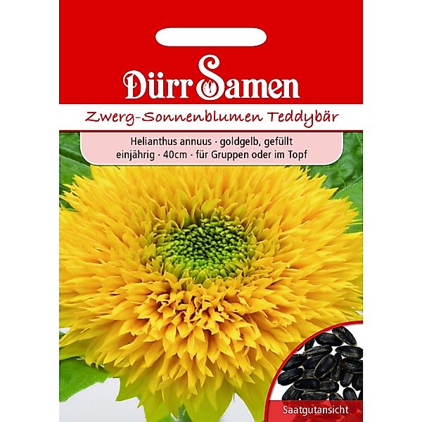 Dürr Samen Sonnenblume Teddybär Goldorange Gefüllt Einjährig Saatgut günstig online kaufen
