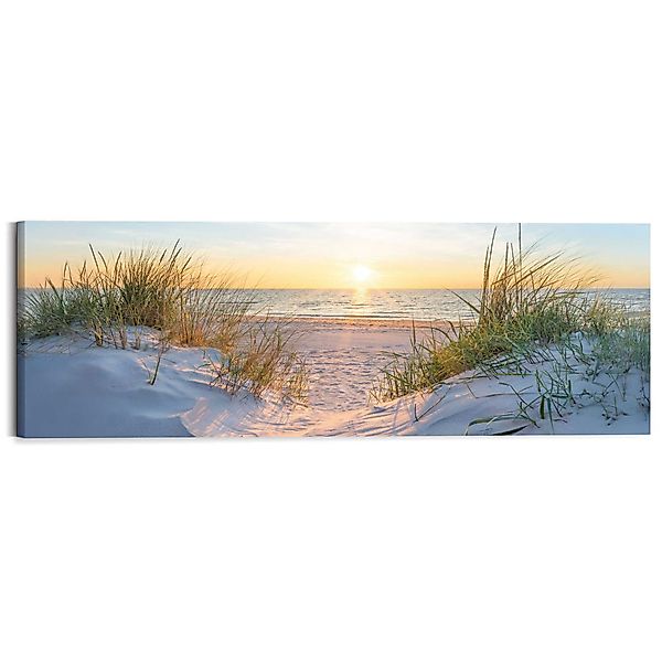 Reinders! Deco-Panel Sonnenuntergang in den Dünen, günstig online kaufen