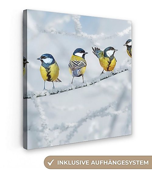 OneMillionCanvasses® Leinwandbild Vogel - Kohlmeise - Winter - Schnee - Zwe günstig online kaufen