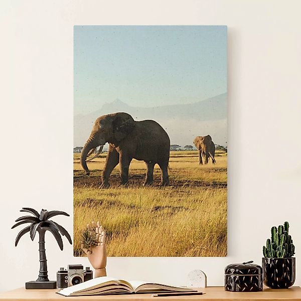 Leinwandbild auf Naturcanvas Elefanten vor dem Kilimanjaro in Kenya günstig online kaufen