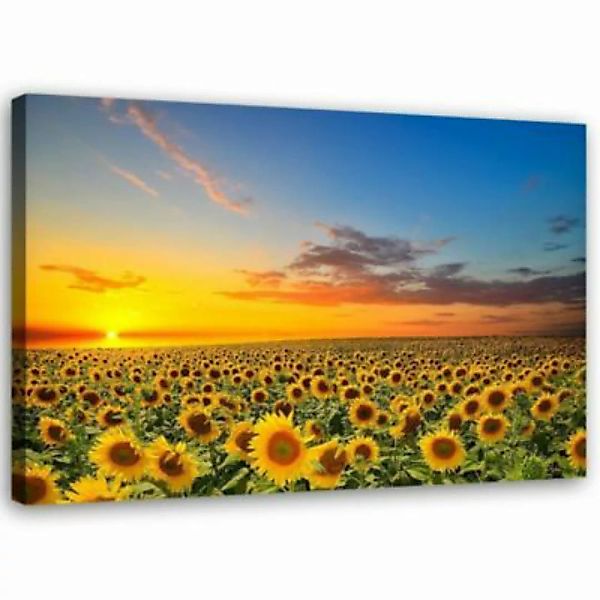 FEEBY® Kunst Sonnenblumen Leinwandbilder bunt Gr. 90 x 60 günstig online kaufen