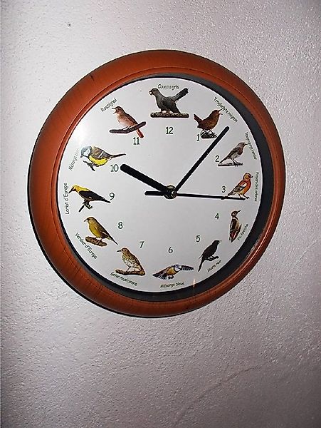 Luna24 simply great ideas... Wanduhr Vogelstimmen-Wanduhr mit französicher günstig online kaufen