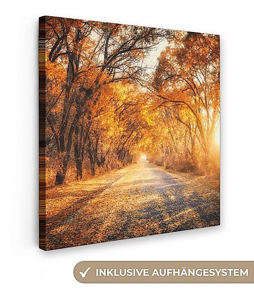 OneMillionCanvasses® Leinwandbild Wald - Herbst - Bäume - Weg - Natur, Foto günstig online kaufen