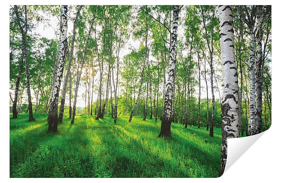 Wallarena Fototapete Wald Birkenwald Birken Natur 3D EFFEKT Tapete Wohnzimm günstig online kaufen