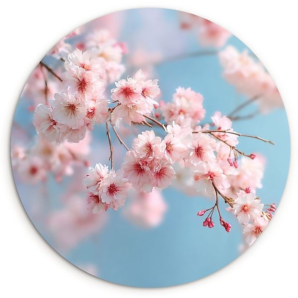 MuchoWow Gemälde Äste - Blüten - günstig online kaufen