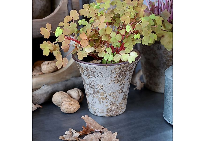 Chic Antique Übertopf Chic Antique * Übertopf Melun in latte H12,5/D14,5 cm günstig online kaufen