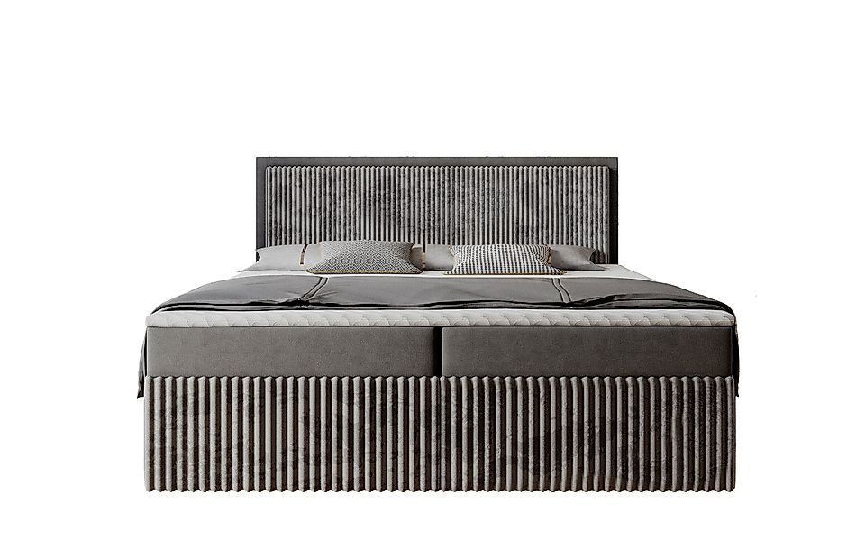 Labett Boxspringbett CLEO 140x220 160x220 180x220 günstig online kaufen