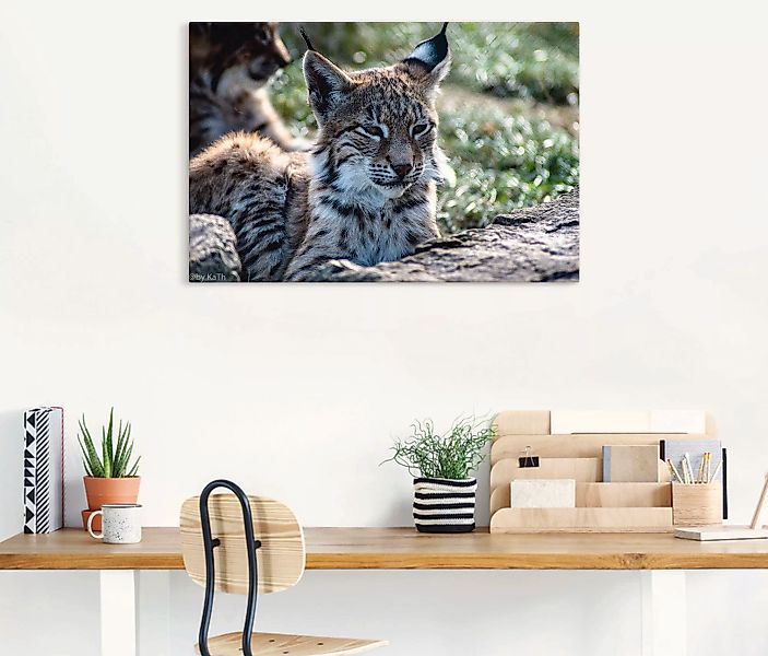 Artland Leinwandbild "Luchs", Wildtiere, (1 St.), auf Keilrahmen gespannt günstig online kaufen