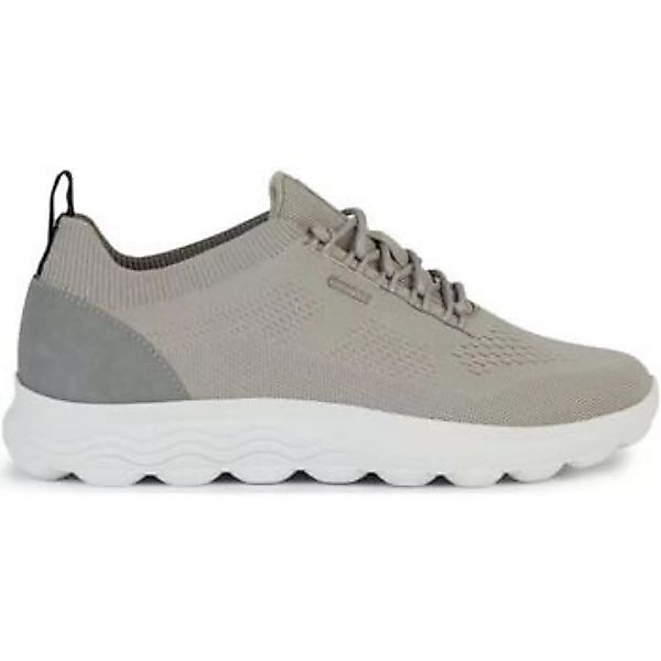 Geox  Sneaker GEUPE24-U15BYA-rck günstig online kaufen