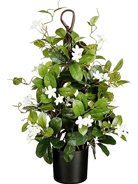 Kunstpflanze Mica Decorations Stephanotis im Topf günstig online kaufen