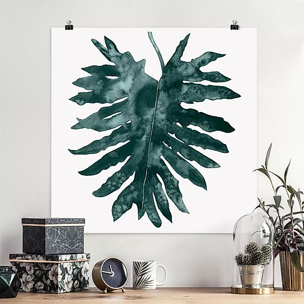 Poster Blumen - Quadrat Smaragdgrüner Philodendron Bipinnatifidum günstig online kaufen