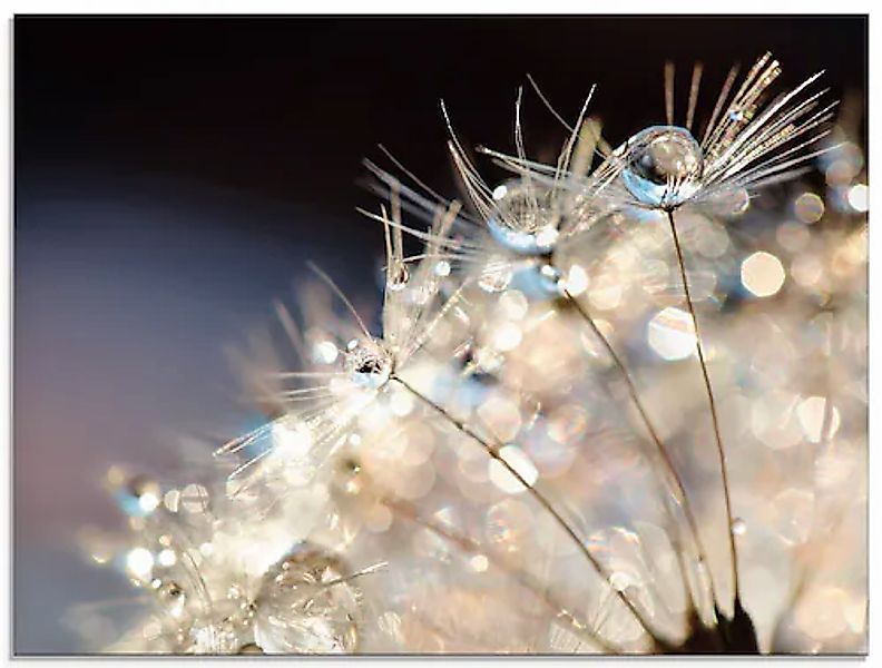 Artland Glasbild »Pusteblume Fantasie« 1 Stk. tlg. in verschiedenen Größen günstig online kaufen