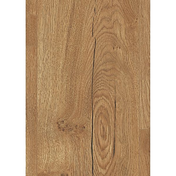 Egger Large Laminat 8 mm Eiche Limerick Honig günstig online kaufen
