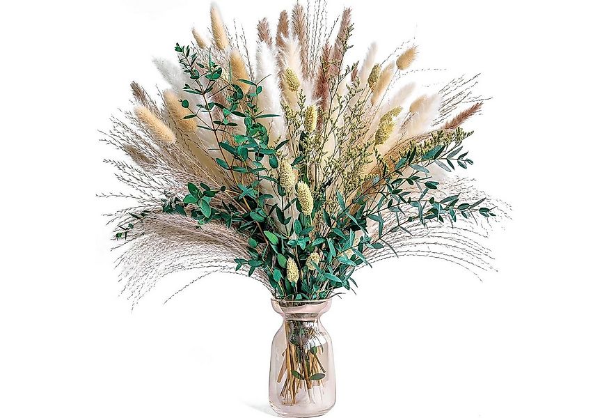 Trockenblume Natürliche Trockenblumen, Boho Deko, 75 Stück Pampasgras Getro günstig online kaufen