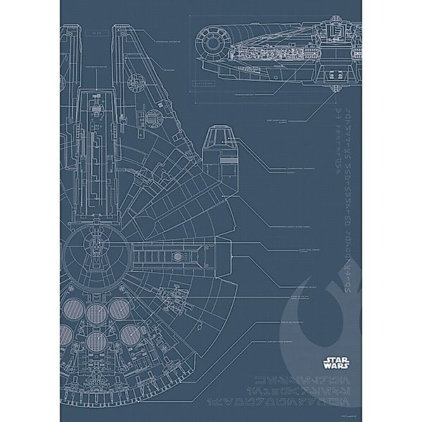 Komar Wandbild Star Wars Falcon 30 x 40 cm günstig online kaufen