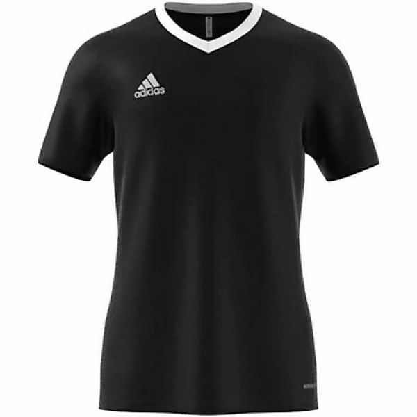 adidas  T-Shirts & Poloshirts - günstig online kaufen