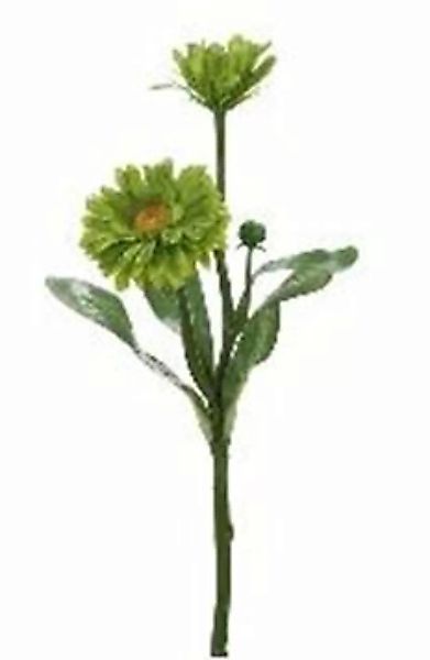 Flower & Style Kunstpflanzen & -blumen Ringelblume grün 36 cm (181607) (grü günstig online kaufen
