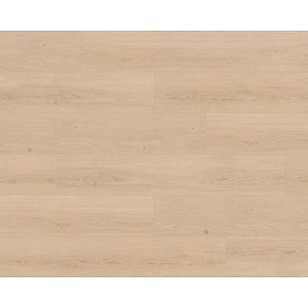 Parador Vinylboden Basic 5.3 Eiche Studioline geschliffen günstig online kaufen