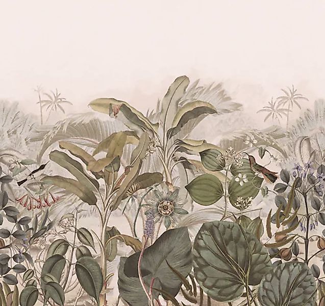 Rasch Fototapete »Vliestapete Curiosity 543698« tropisch glatt Dschungeltap günstig online kaufen