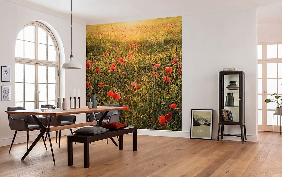 Komar Fototapete Poppy World B/L: ca. 250x280 cm günstig online kaufen